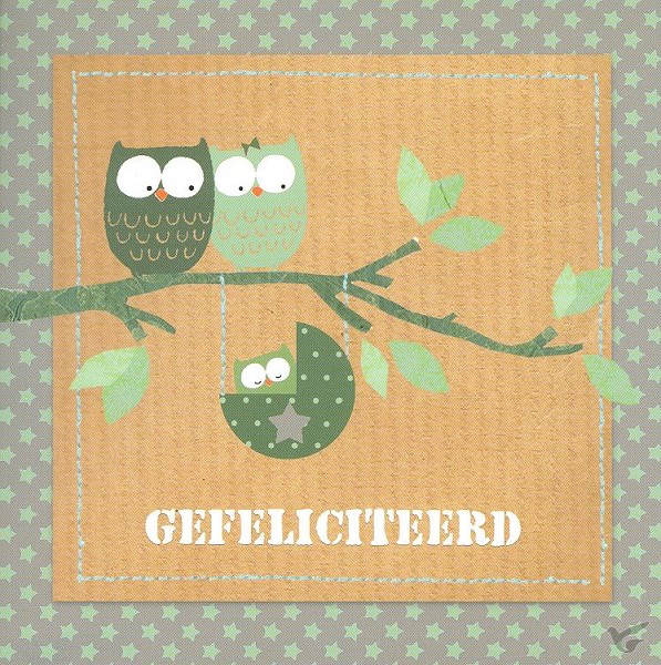 Productafbeelding: voorkant van Wenskaart gefeliciteerd groene ster