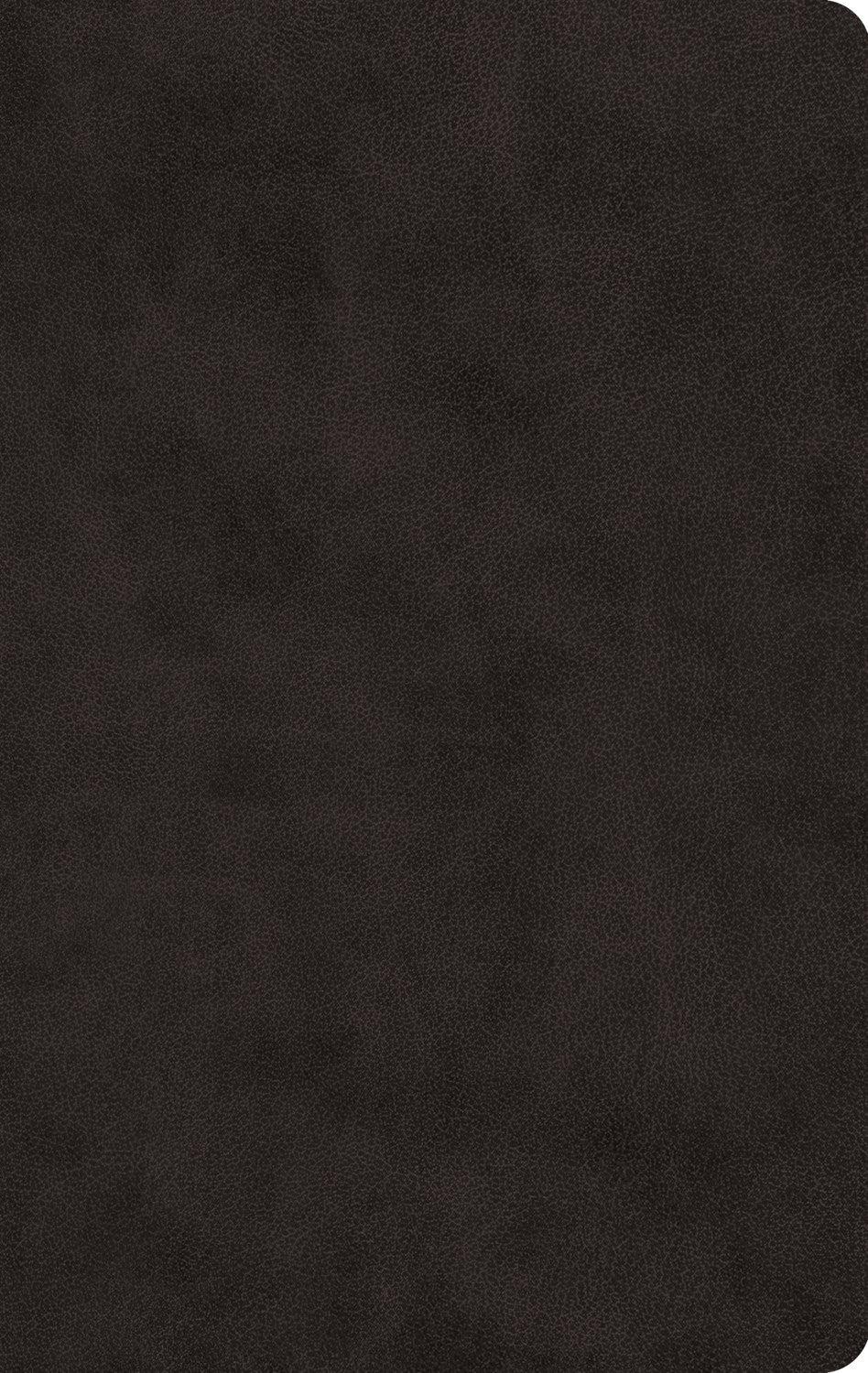 Productafbeelding: voorkant van ESV Large Print Value Thinline Bible-Black TruTone