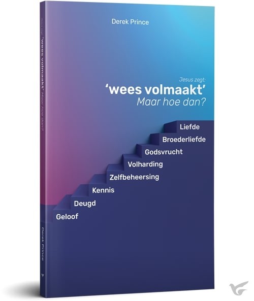 Productafbeelding: voorkant van Wees volmaakt maar hoe