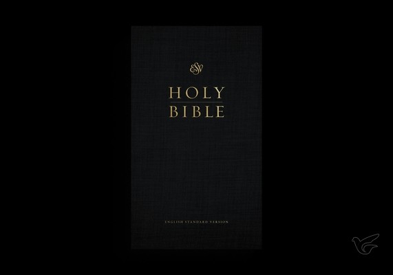 Productafbeelding: voorkant van ESV - Church Bible LP RL