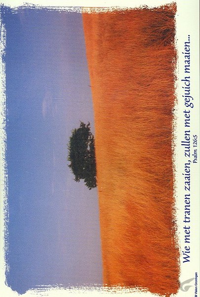 Productafbeelding: voorkant van Poster mini psalm 126:5