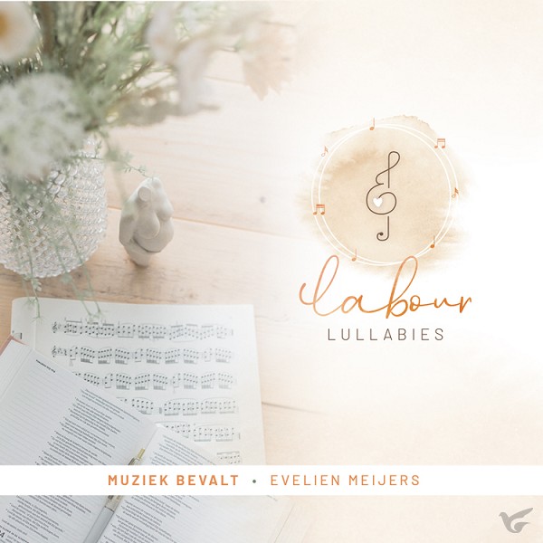 Productafbeelding: voorkant van Labour Lullabies