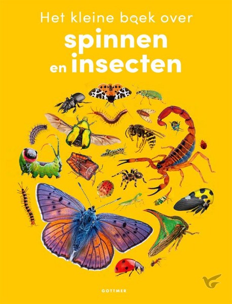 Productafbeelding: voorkant van Kleine boek over spinnen en insecten