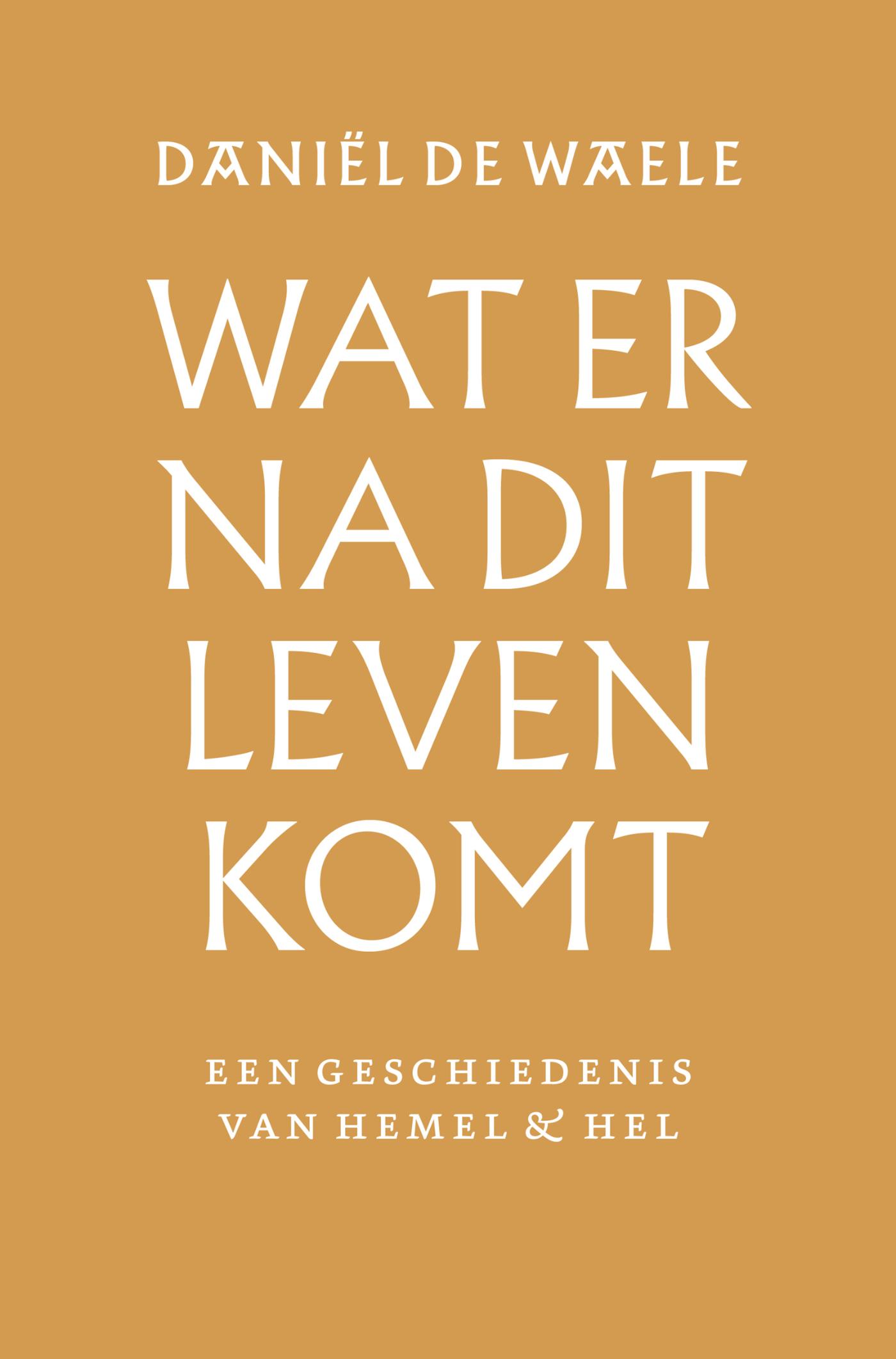 Productafbeelding: voorkant van Wat er na dit leven komt