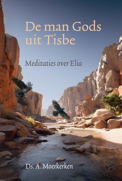 Productafbeelding: voorkant van Man Gods uit Tisbe