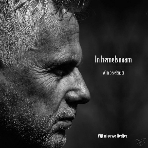 Productafbeelding: voorkant van In hemelsnaam