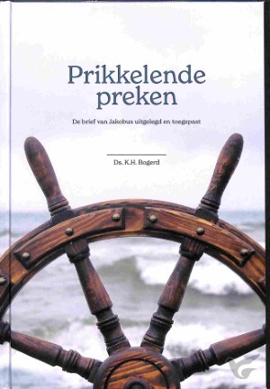 Productafbeelding: voorkant van Prikkelende preken