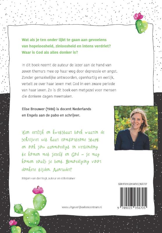 Productafbeelding: achterkant van Woestijnregen