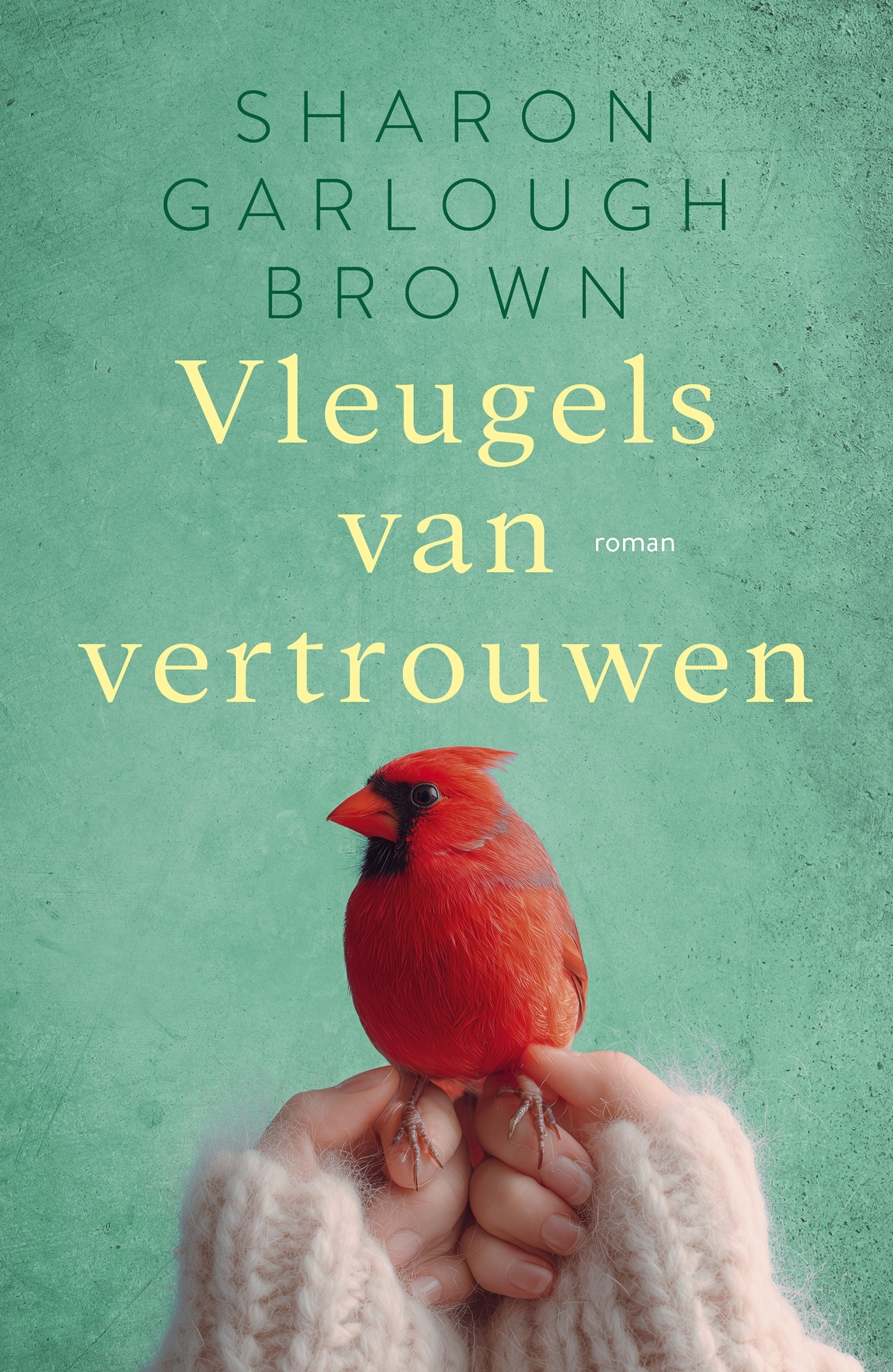 Productafbeelding: voorkant van Vleugels van vertrouwen