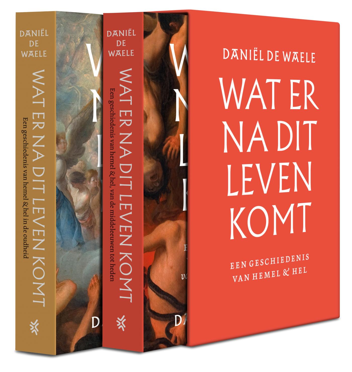 Productafbeelding: voorkant van Wat er na dit leven komt
