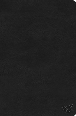 Productafbeelding: voorkant van ESV - Value Compact Bible