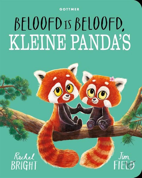 Productafbeelding: voorkant van Beloofd is beloofd, kleine panda's