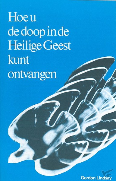 Productafbeelding: voorkant van Hoe u de doop in de Heilige Geest kunt